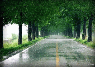 أجمل صور متحركة لمطر الشتاء ,صور أمطار متحركة ,أجمل صور مُعبرة عن الشتاء أمطار متحركة