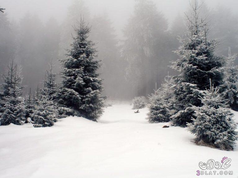 أروع صور للطبيعة في فصل الشتاء 2024- أحلى الصور المنوعه للطبيعه في فصل الشتاء - أجمل
