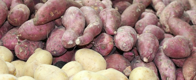 ما هي أهم فوائد البطاطا الحلوة الصحية ؟
