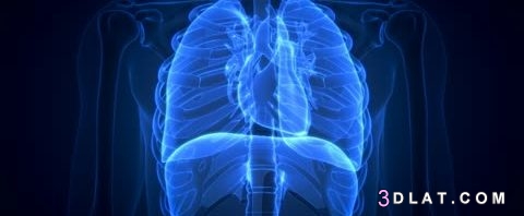 طرق الوقاية من امراض الجهاز التنفسي,أسباب أمراض الجهاز التنفسي