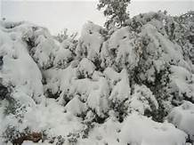 صور ثلج : مناظر طبيعية للثلوج و خلفيات ثلوج متحركة و حالات ...  صور ثلج وشتاء 2024 اح