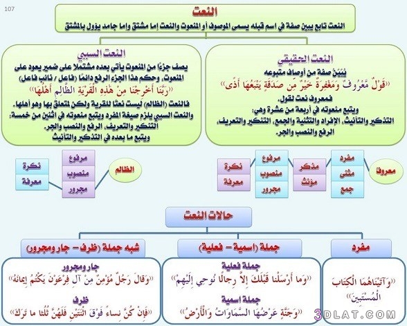 الصفة( النعت)  توابع في اللغة العربية