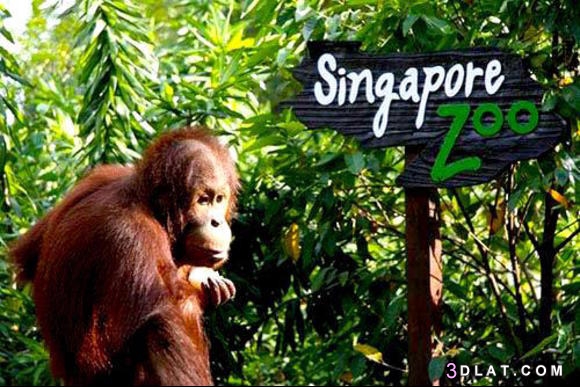 السياحة في سنغافورة , اهم الاماكن السياحية في سنغافورة