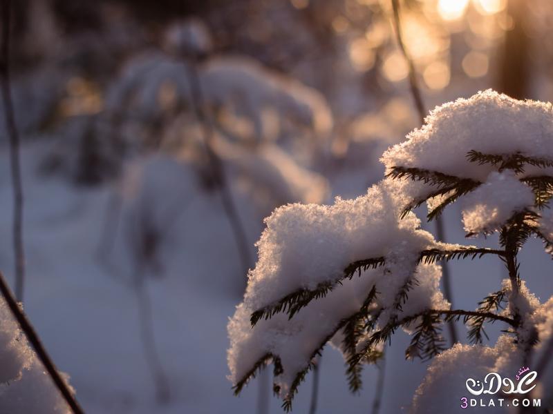 صور من الطبيعه الساحره لفصل الشتاء , صور ثلوج طبيعيه رائعه , أجمل المناظر الطبيعيه