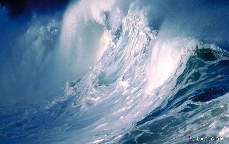 الطوفان قادم: ماذا لو استمر ارتفاع مستوى المحيطات؟ارتفاع كارثي لمنسوب مياه