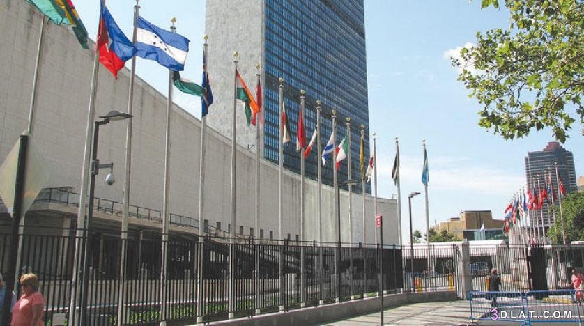 الأمم المتّحدة،أين يقع مقر الأمم المتحدة،تسمية الأمم المتّحدة ونشأتها،هيكل