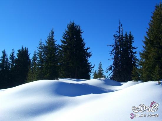 رد: صور فصل الشتاء , صور الشتاء , صور شتوية رائعة