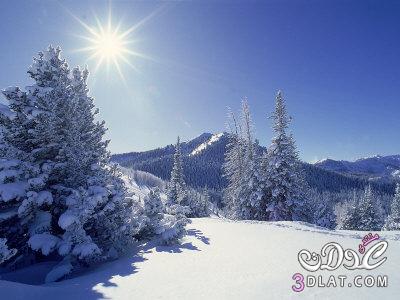 رد: صور فصل الشتاء , صور الشتاء , صور شتوية رائعة