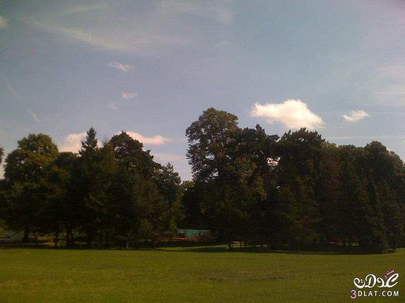 من تصويري مناظر طبيعية 2024,حديقة بوت كارديف,صور من الطبيعه الجميلة,اشجار روعه