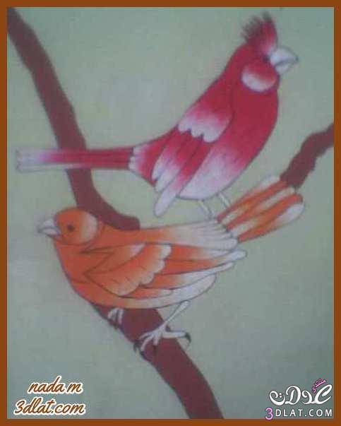 رسوماتى بالوان المائية صور عصافير ملونه رسوماتى طيور من دفترى الخاص حصريا