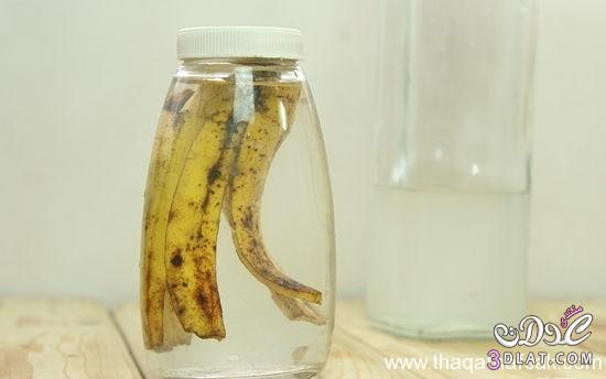 كيف تستفيد من قشر الموز