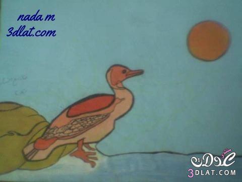 صور طيور بالوان المائية رسوماتى من تلونى و رسمى لوحات من الطيور