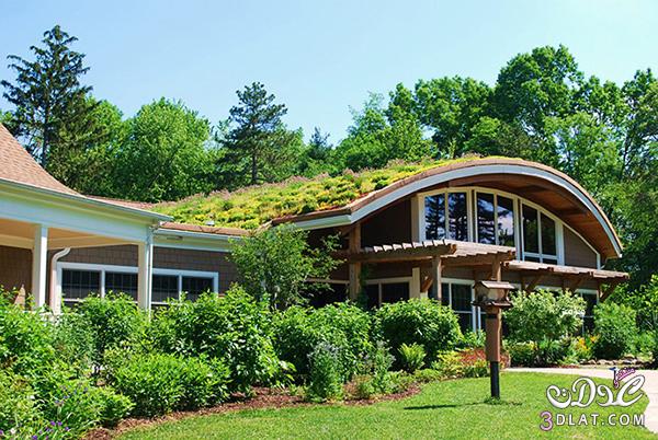 مناظر طبيعية خلابة و مزروعات خضراء فوق اسطح المنازل