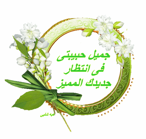 رد: ملف شامل حول عادات وتقاليد الجزائريين في الأعراس