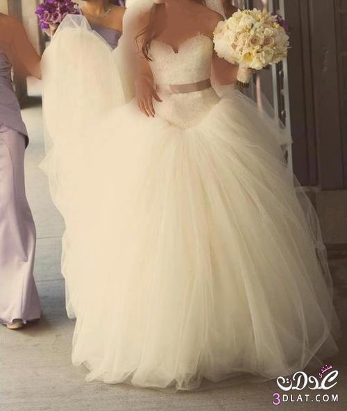 amazzing Wedding Dresses ( خاص بالتحدى )