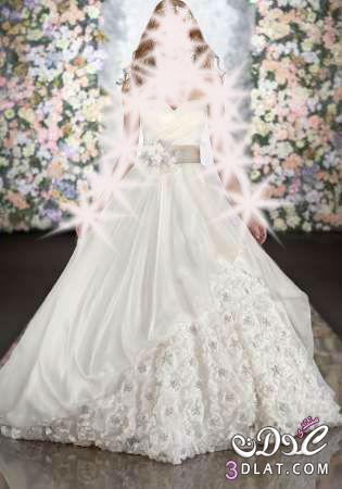 فساتين زفاف جميلة ومميزة  2024  احدث صيحة من wedding dresses