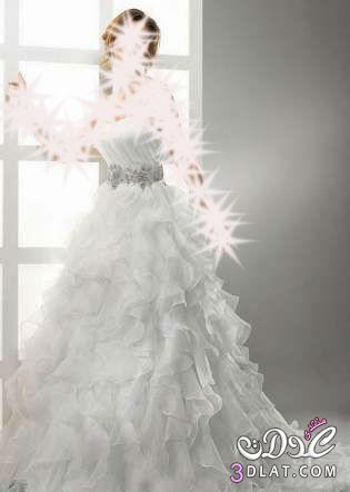 فساتين زفاف جميلة ومميزة  2024  احدث صيحة من wedding dresses