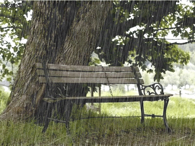صور مطر الشتاء ,صور أمطار متحركة ,أجمل خلفيات للمطر فى الشتاء, أمطار متحركة 2024