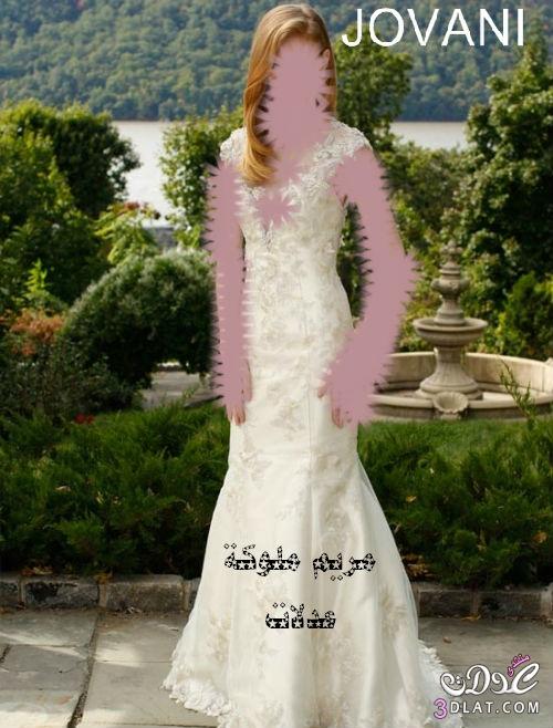 فساتين زفاف رووووووووووعة فساتين زفاف جميلة للعروس فساتين زفاف 2024