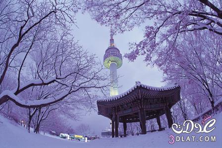 رحلة إلى أجمل المناطق السياحية في العالم مدينة سيول الكورية الجنوبية
