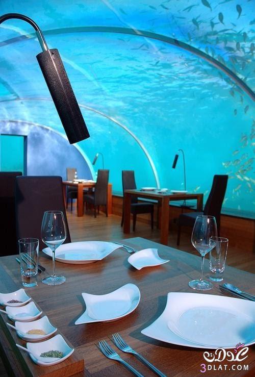 مطعم زجاج تحت اعماق البحر