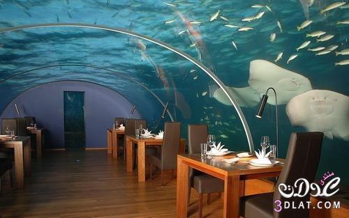 مطعم زجاج تحت اعماق البحر