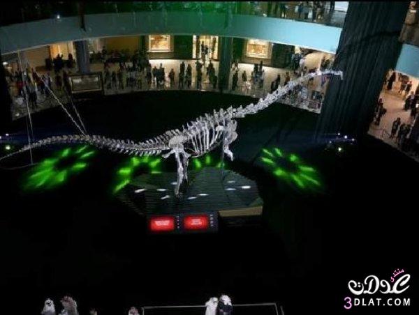 دبى مول يستقبل ديناصور عمره 155 مليون عام