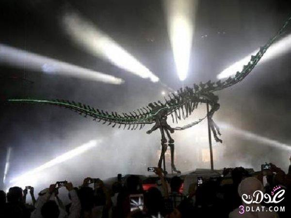 دبى مول يستقبل ديناصور عمره 155 مليون عام