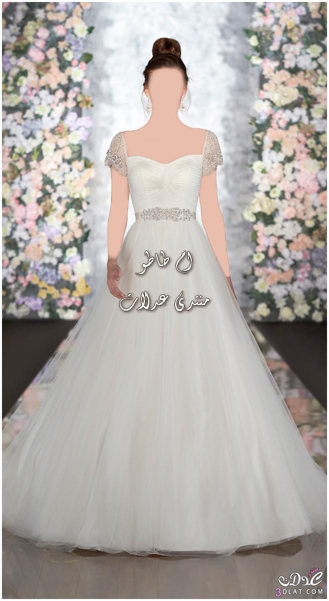 فساتين زفاف من اسبوع الموضه 2024 بايطاليا ، Wedding Dresses 2024, فساتين زفاف 20