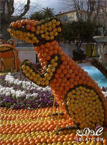 مهرجان اللبرتقال والليمون فى الهند وتصاميم روعة من البرتقال والليمون