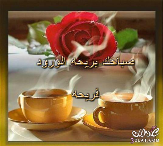 صور مكتوب عليها صباح الخير,صور قهوه مع الورود روعه بكلمات رقيقه لصباح الخير2024