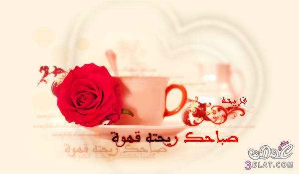 صور مكتوب عليها صباح الخير,صور قهوه مع الورود روعه بكلمات رقيقه لصباح الخير2024