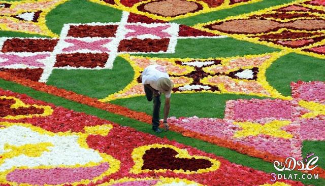 سجادة الزهور في بروكسيل Brussels' Flower Carpet