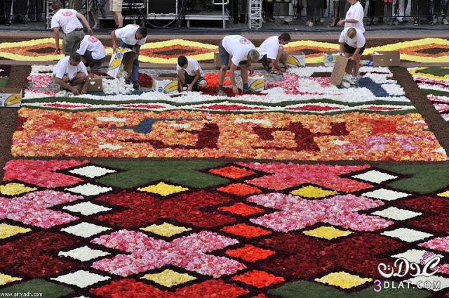 سجادة الزهور في بروكسيل Brussels' Flower Carpet