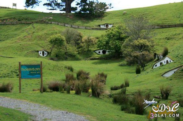 منازل الخرفان في قرية هوبيتون – Hobbiton النيوزيلندية