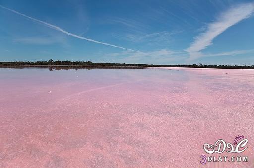 البحيرة الوردية في استراليا سبحان الخالق