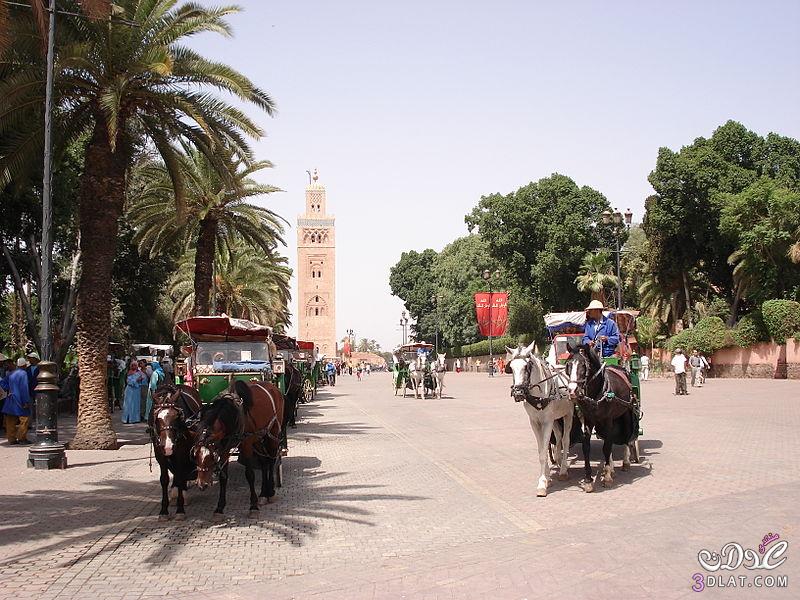 مراكش من اجمل المدن المغربية