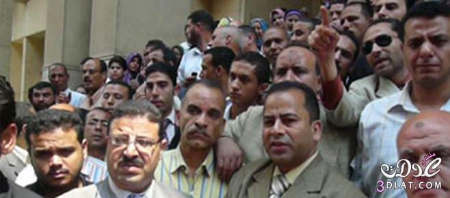 بالصور.. إضراب محامي كفر شكر احتجاجًا على اختطاف زميلهم