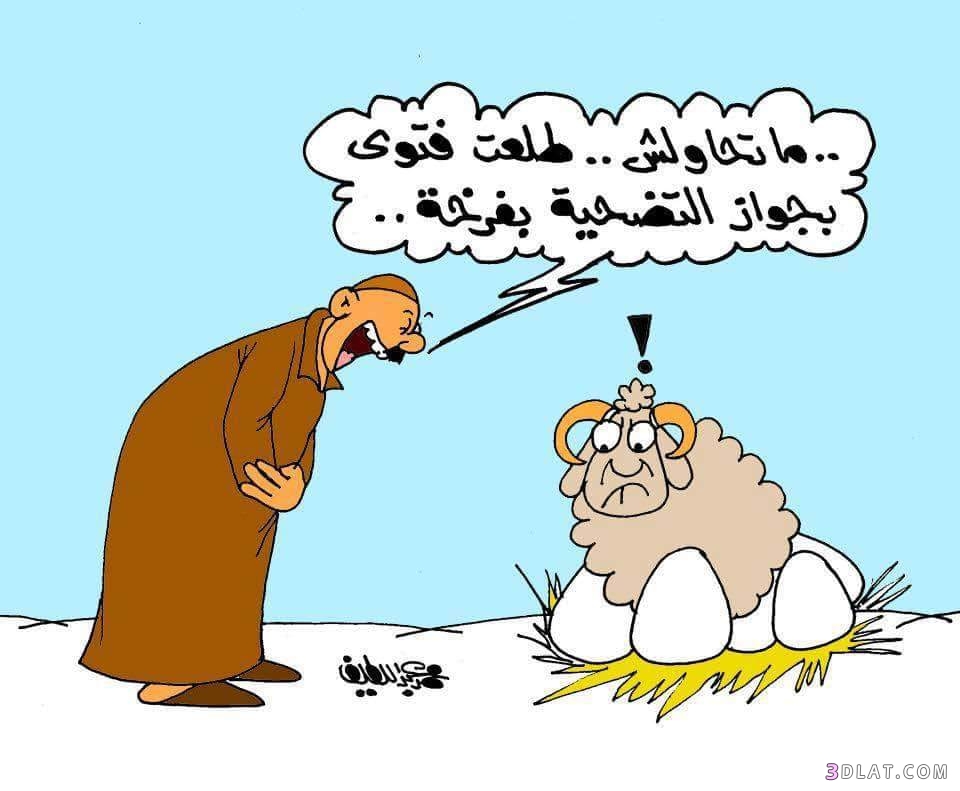 كاريكاتير عن خروف العيد بالصور، صور نكت عن خروف العيد