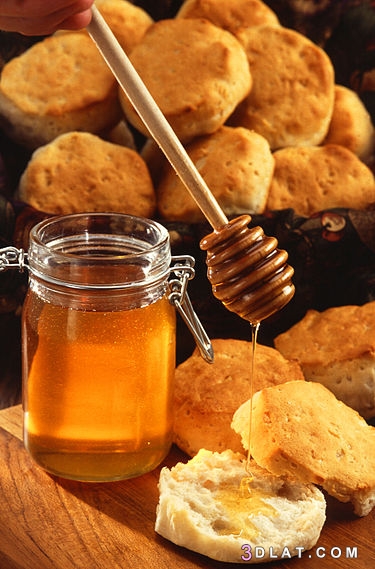 كيفية علاج الجروح والحروق بالعسل وفوائد العسل للبشرة