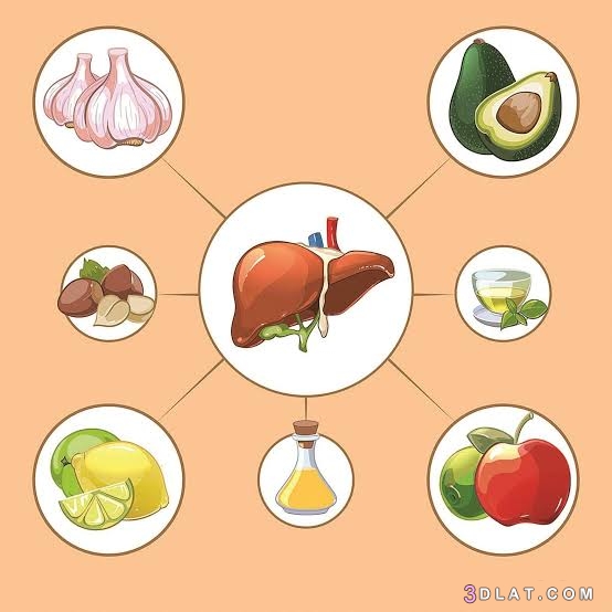 اطعمه تحمي الكبد من الامراض،ما هي الاطعمه التي تحمي الكبد من الامراض،ازاي ت