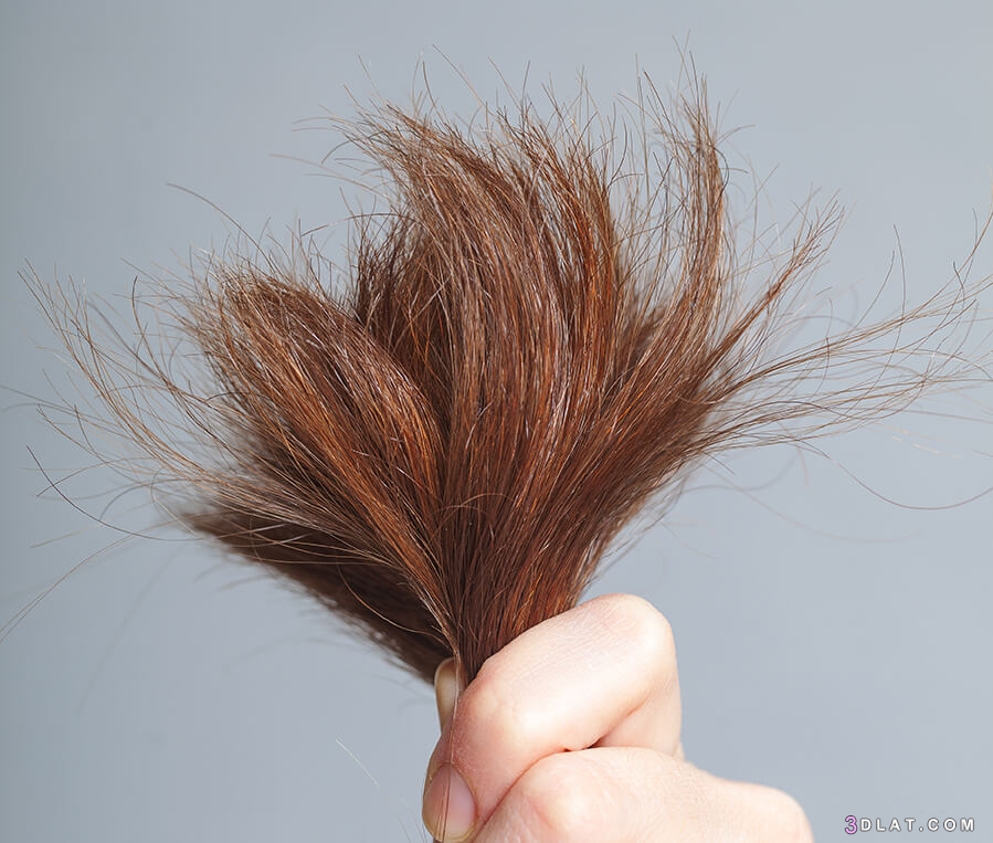سبب جفاف الشعر ،أعراض جفاف الشعر، أسباب جفاف الشعر،علاج الشعر الجاف، طرق تغ