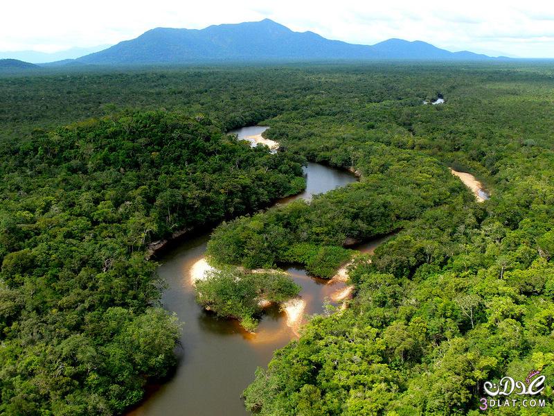 معلومات عن غابات الأمازون أكبر الغابات فى العالم،معلومات عن نهر الأمازون