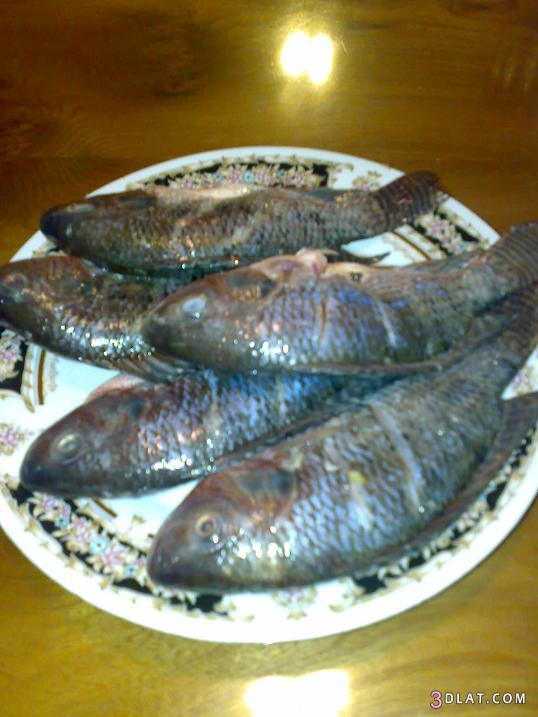 صينيةالسمك المشوى , طريقة تحضير صنية السمك البلطى المشوى فى الفرن من مطبخ محبه ل