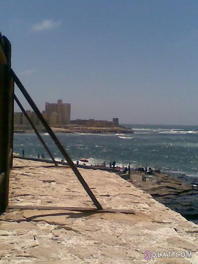 صور طبيعيه من البلد المصريه ...... صور بحر اسكندريه وكثبان رمليه من تصويرى