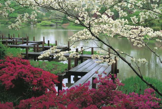 "أشيكاجا" حديقة الحب - حديقة اشيكاغا باليابان