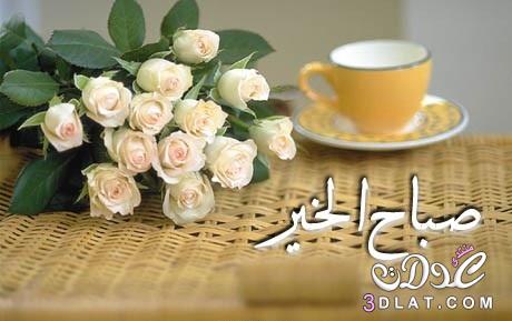 صور صباح  الخير وصباح الورد / احلى صباح لعيونكم