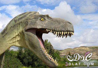 جولة سياحيه في حديقة الديناصورات بالصور حديقة الديناصورات بكوبا بالصور سياحه لمدينة ا