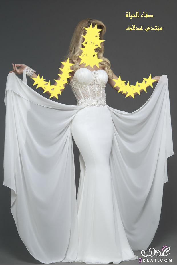 تشكيلة أزياء العرائس 2024 , فساتين زفاف 2024