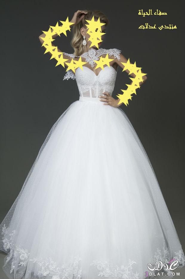 تشكيلة أزياء العرائس 2024 , فساتين زفاف 2024